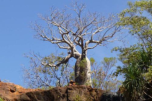 Broome to Brisbane - across the top.-events-5659.jpg