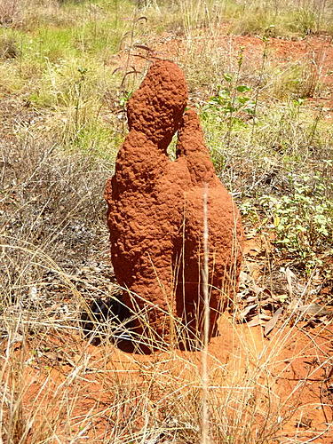 Broome to Brisbane - across the top.-p1000356.jpg