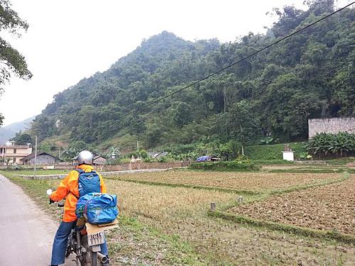 Vietnam Nov 2013-after-the-rice-harvest.jpg