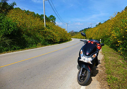 5000kms on Honda PCX-bike64.jpg