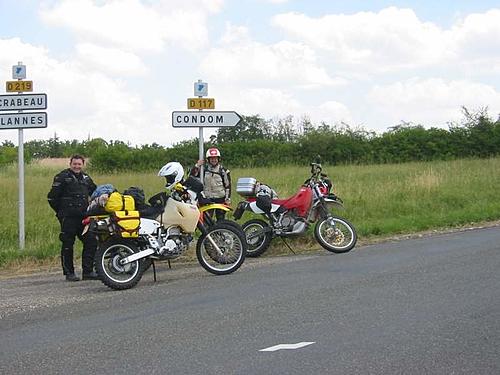 Pyrenees June 2014-infantile.jpg
