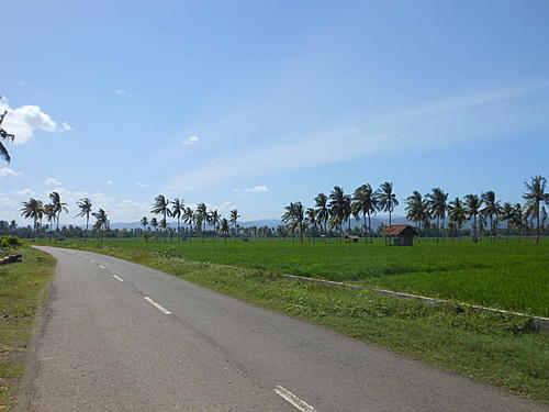 Bali, Lombok, Sumbawa - Helter Skelter Across Sumbawa-dscn1834.jpg