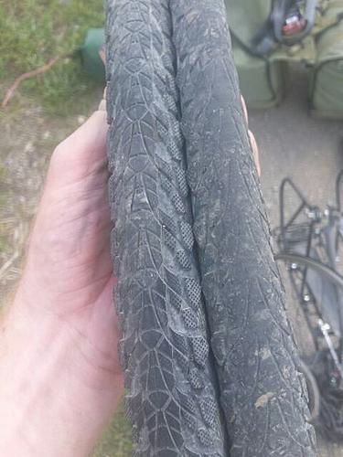 Cycling from Mongolia to ... West as far as I can get-uploadfromtaptalk1437293002346.jpg