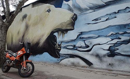 Africa.......and not planned too well!-buenos-aires-mural-1.jpg