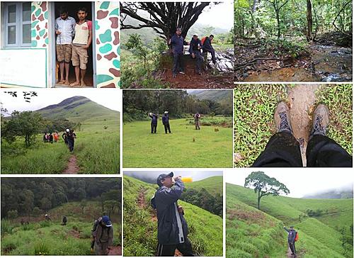 Ride&Trek to Kudremukha (South West Rain forests of India)-collage1.jpg