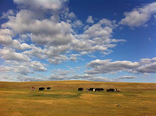 Motorcycle trip around central Mongolia - 1200km offroad on rented 150cc Chinese bike-mongolia-100.jpg