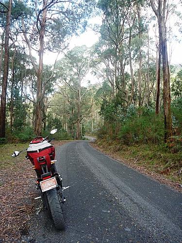 Zero SR touring in Australia-zero-tall-timber-long-winding