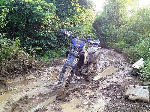 Click image for larger version

Name:	a-enduro-cambodia-mudnruts.jpg
Views:	98
Size:	67.4 KB
ID:	20091