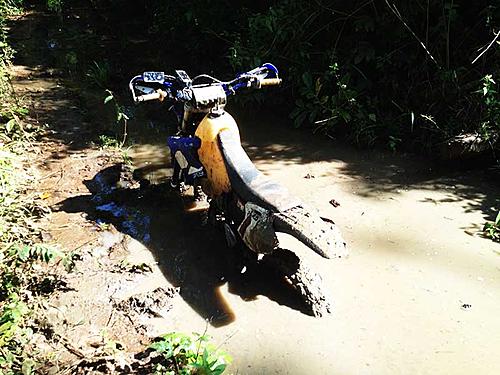 Click image for larger version

Name:	enduro-cambodia-stuck.jpg
Views:	73
Size:	66.1 KB
ID:	20094