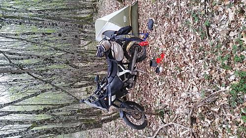Click image for larger version

Name:	20190415_201812.jpg
Views:	253
Size:	153.9 KB
ID:	22411