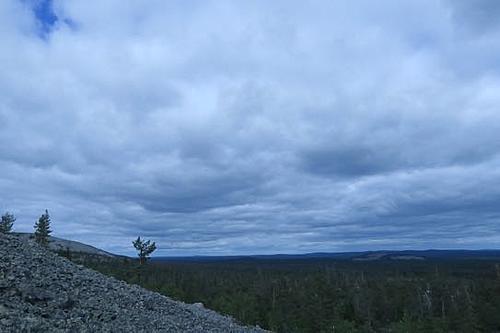 Nordkapp or bust.  Ok...Bust. Tallinn to somewhere in Lapland-the-lappish-landscape.jpg