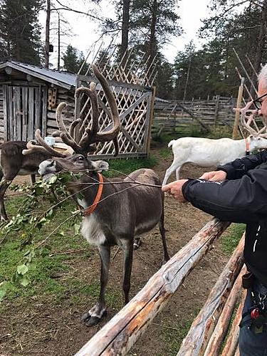 Nordkapp or bust.  Ok...Bust. Tallinn to somewhere in Lapland-feeding-the-habit.jpg