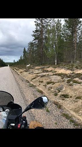 Nordkapp or bust.  Ok...Bust. Tallinn to somewhere in Lapland-catching-speeders.jpg