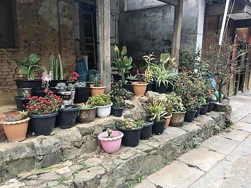 Laos revisited-5ba39db2-703f-4ea7-8586-8cf2ddd0a4b0.jpg