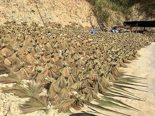 Laos revisited-d88b0488-1c1a-40e6-ab1b-1228fa1e95b0.jpg