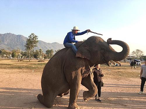 Laos revisited-f793cb83-60e8-4493-a4b7-c07918881a06.jpg