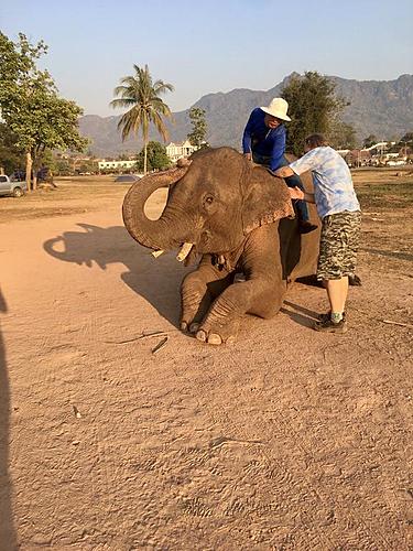 Laos revisited-1155dce4-9f46-45f2-80fb-ad6d8ec79e18.jpg