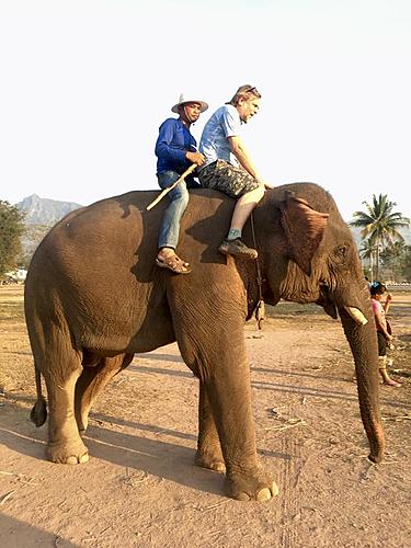 Laos revisited-aa426ce0-00eb-4bc8-a2c8-9f30f9aea907.jpg