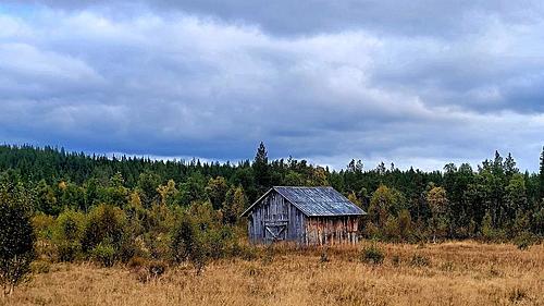 Travels around the Arctic Circle (10.000 km in Scandinavia, 2022-nfug70oo_h.jpg