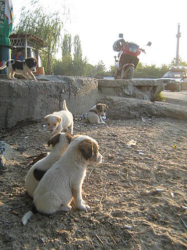 Click image for larger version

Name:	IMG_5808.jpg
Views:	132
Size:	87.3 KB
ID:	2633