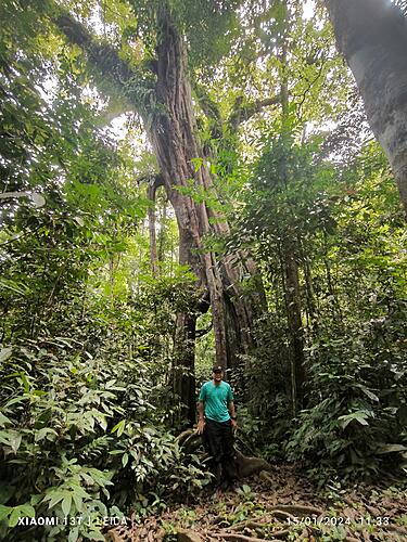 North Sumatra-whatsapp-image-2024-02-06