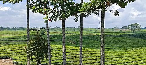 North Sumatra-whatsapp-image-2024-02-08