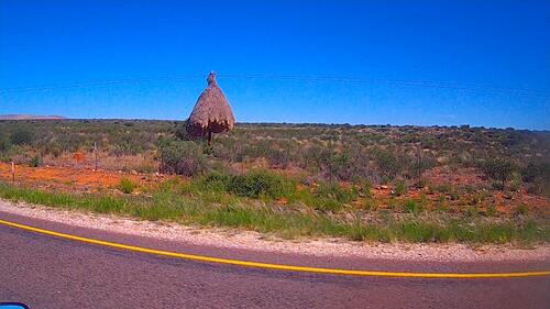 2024 Buying a bike in South Africa to continue the 2023 overland ride.-copied-data-2024-04-21