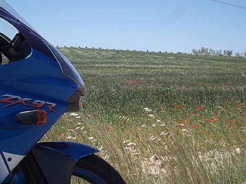 Europe - wandering on a zx9r-008.jpg