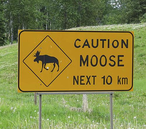 Finding Freedom...World Wide Ride-into-the-land-of-moose.jpg
