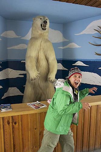 Finding Freedom...World Wide Ride-sara-polar-bear-encounter.jpg