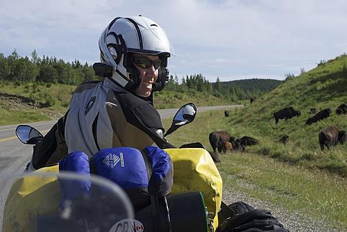 Finding Freedom...World Wide Ride-dan-and-the-bison.jpg