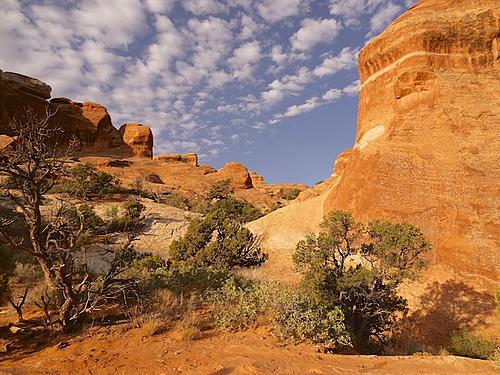 Finding Freedom...World Wide Ride-red-rocks-of-arches.jpg