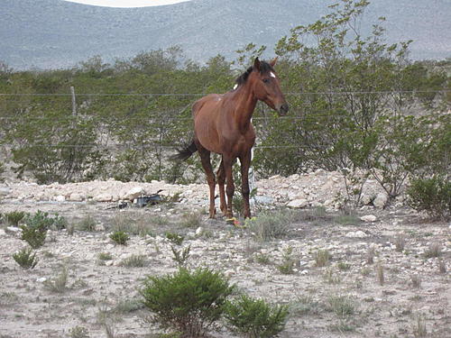 ratbikemike in mexico.-trip-to-mx-512.jpg