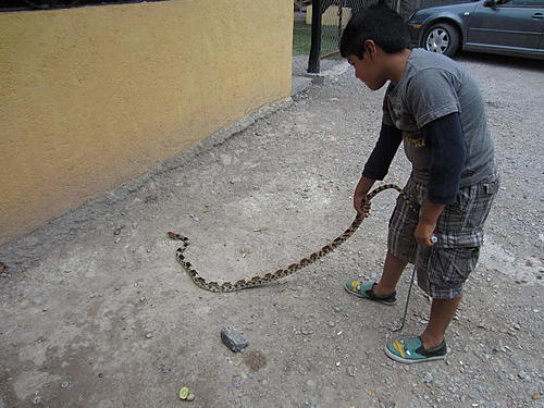 ratbikemike in mexico.-trip-to-mx-574.jpg