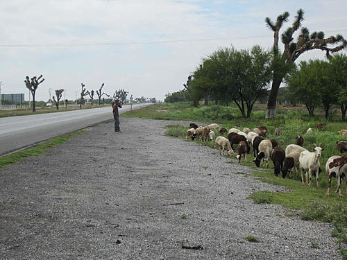 ratbikemike in mexico.-trip-to-mx-639.jpg