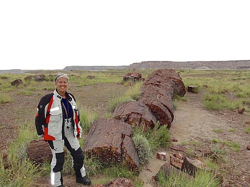 Finding Freedom...World Wide Ride-sara-at-the-petrified-forrest.jpg