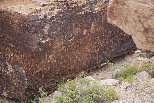 Finding Freedom...World Wide Ride-petroglyphs-petrified-forrest.jpg