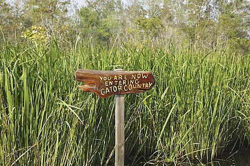 Finding Freedom...World Wide Ride-swamp-tour-4.jpg