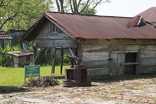 Finding Freedom...World Wide Ride-laura-plantation-7.jpg