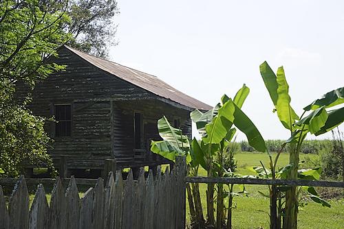 Finding Freedom...World Wide Ride-laura-plantation-9.jpg