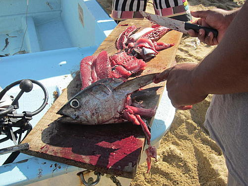 ratbikemike in mexico.-oaxaca-and-south-247.jpg