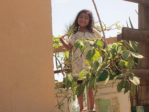 ratbikemike in mexico.-oaxaca-and-south-197.jpg