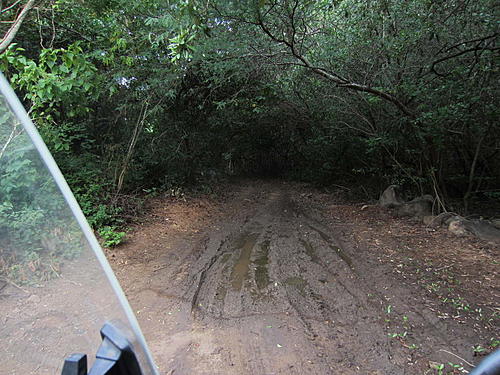 ratbikemike in mexico.-oaxaca-and-south-312.jpg