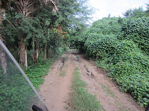 ratbikemike in mexico.-oaxaca-and-south-315.jpg