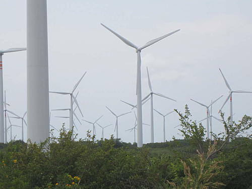 ratbikemike in mexico.-oaxaca-and-south-339.jpg