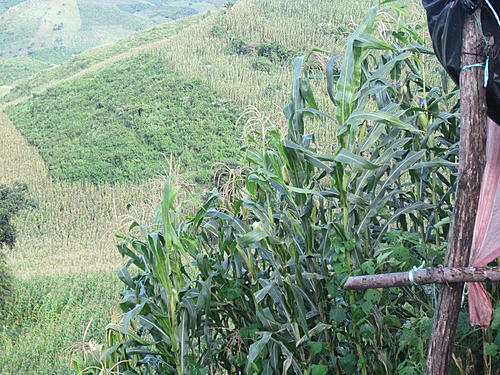 ratbikemike in mexico.-oaxaca-and-south-382.jpg