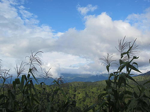 ratbikemike in mexico.-oaxaca-and-south-386.jpg