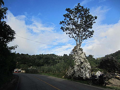 ratbikemike in mexico.-oaxaca-and-south-399.jpg