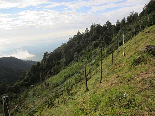 ratbikemike in mexico.-oaxaca-and-south-412.jpg