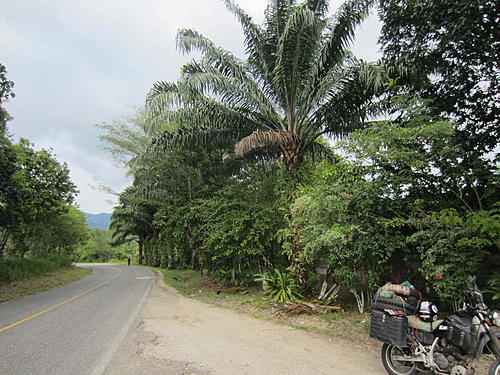 ratbikemike in mexico.-porto-angel-2-merida-079.jpg